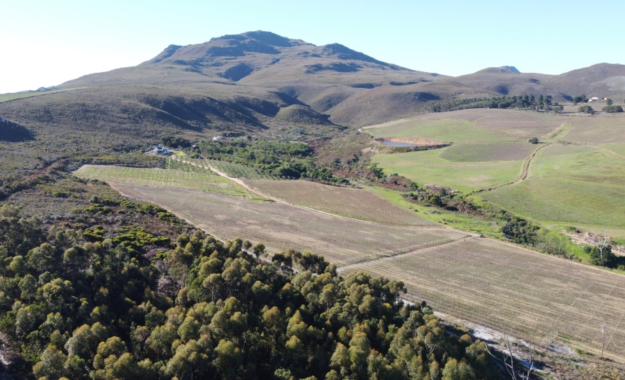 0 Bedroom Property for Sale in Hemel and Aarde Western Cape